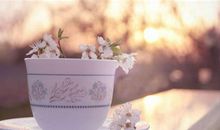 开心如花朵的句子