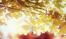 笑的很灿烂开心的句子