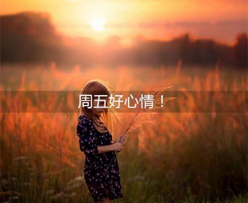 星期五终于到了