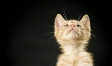 形容开心的经典句子说说心情