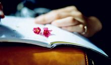 不要哭妆会花的说说