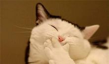 怎么逗人开心的句子