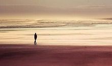 单身一个人的心情说说句子