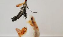 逗人开心的套路句子