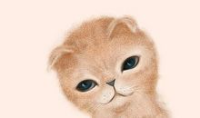 伪装每天过得很开心的句子