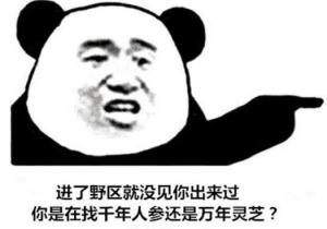 不再需要忍受