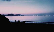 对亲情失望透顶的句子