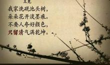 体现高尚情操的诗句