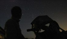 对某些事失望的句子