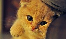 希望孩子开心快乐健康成长的句子