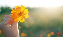 简单随心开心的句子