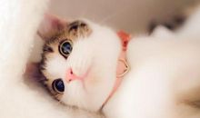 朋友圈孩子开心的句子