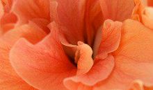 早上对老婆的问候短信