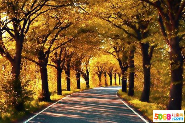 Integrity and innovation are the soul and spirit