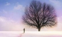 最让人感动的一句话