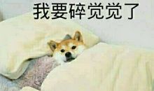调侃人生语录