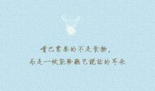 陪伴的句子唯美短句