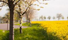 让顾客开心的句子