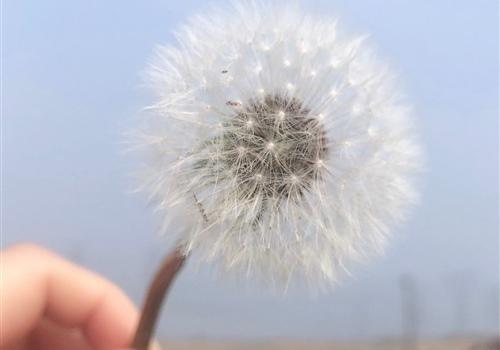 辛苦