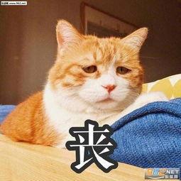 请您体谅
