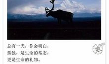 孤单落寞的句子