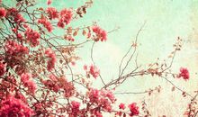 没钱的心烦句子现实