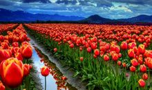 形容风景优美的句子