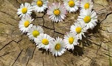 不后悔认识你的句子