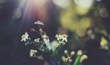 形容人活着要开心的句子