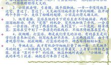 神态描写的句子