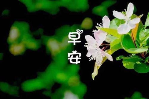 关怀给您带来新的愿望