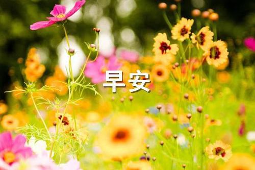 祝福给您带来新的起点