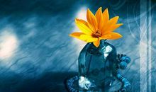 能让自己心静的句子