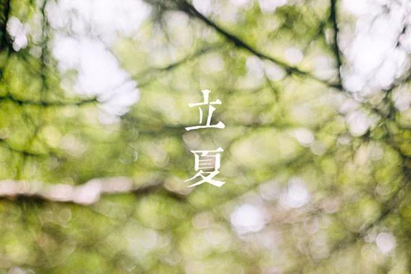 夏伊  [宋]苏顺勤 另一个法院在夏天深深的夏青
