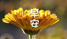 问候早安的句子