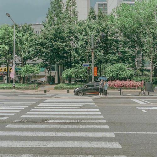 瘤胃从幻觉到清醒