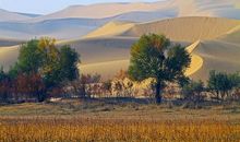 和地理相关的座右铭