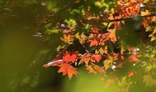 抖音网红句子适合发朋友圈