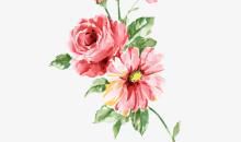 代表今天很开心的句子