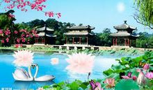 描写初夏美景的句子