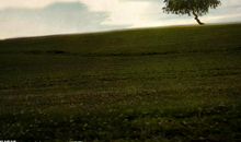 形容对亲人失望的句子说说心情