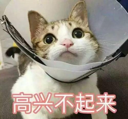 让我们看一下编辑器组织的结交朋友的不愉快句子