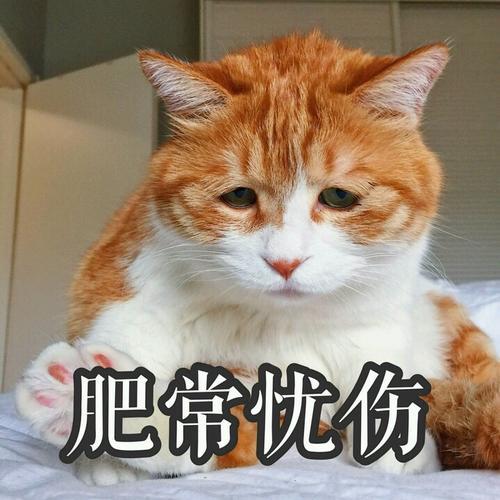 不高兴的句子是什么