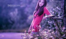 经典语录第十八期