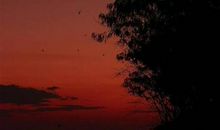 孔子说过一句最著名的名言警句