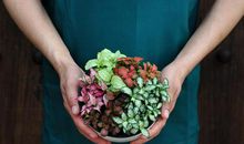 花儿代表心情开心的句子