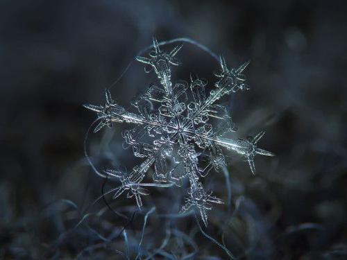 让我们看一下小编编写的关于玩雪的句子