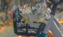 关于春天疫情唯美的句子 春暖花开治愈唯美语录