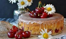 形容春天花开心情好的句子