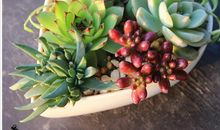 有关茶的开心句子